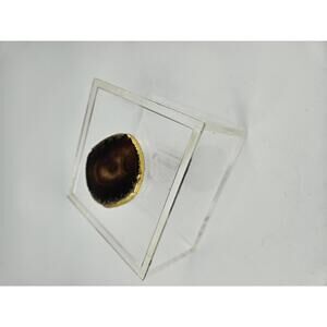 Glam Agate Geode Slice in Acrylic Box Gold Edge Modern Home Accent 4.75 in